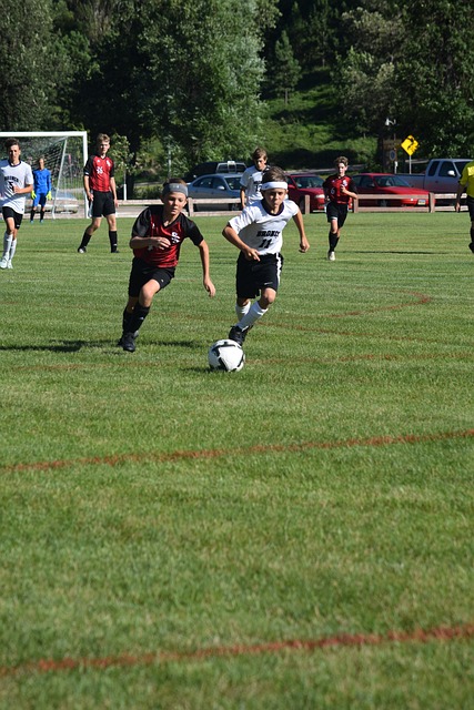 锦赛的成功 锦赛的成功