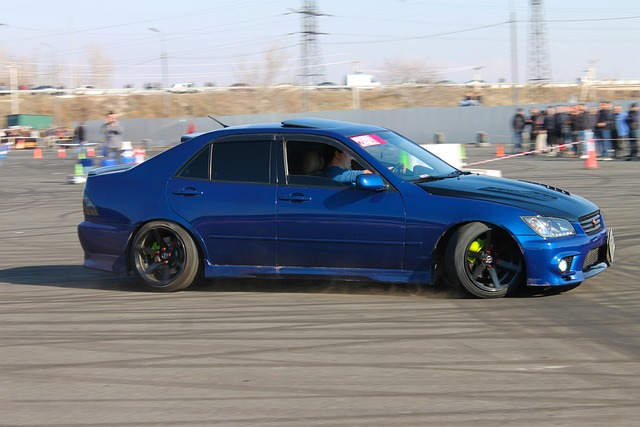 员的成长树 员的成长树