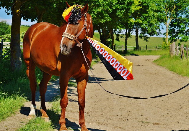 激励着无数 激励着无数