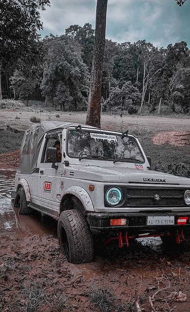 充滿了期待 充滿了期待