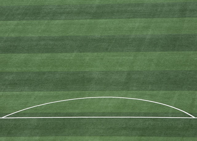 会与全球合 会与全球合