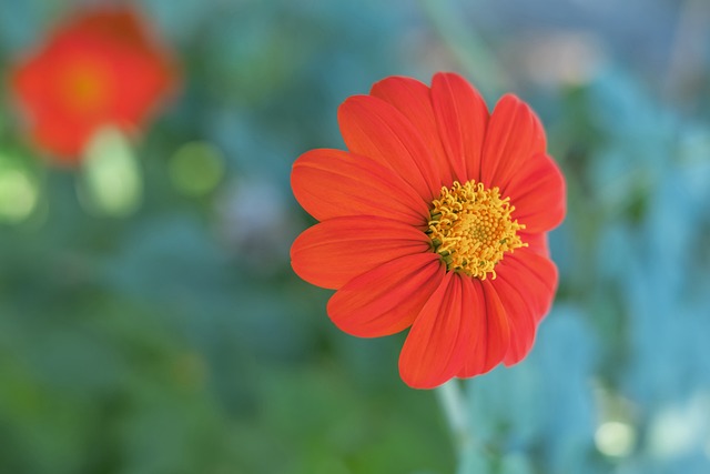 搏的韧劲 搏的韧劲