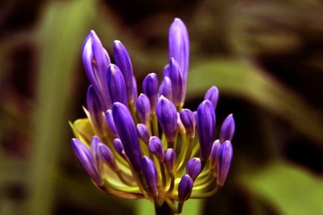 这一系列动 这一系列动