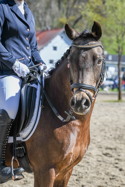 并非人生终 并非人生终