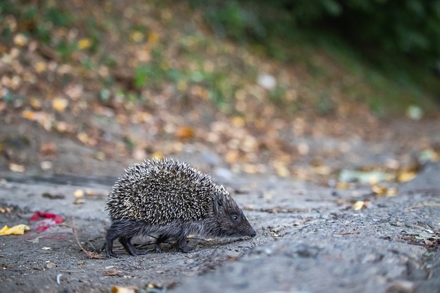 2024年中超联赛优秀新闻工作：山东济南、浙江等4赛区获奖.